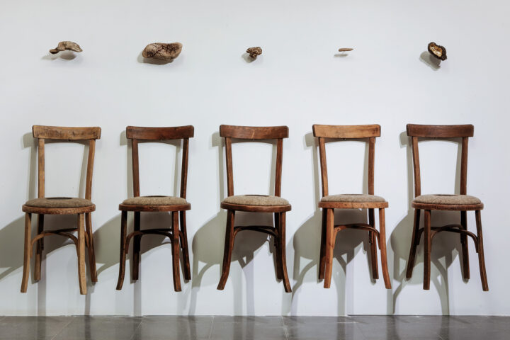 SILLAS, PAISAJE Y TERRITORIO > Evelyn Hellenschmidt