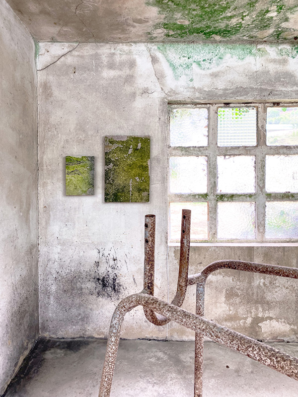 bettina geisselmann